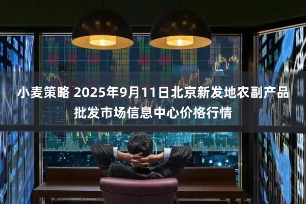 小麦策略 2025年9月11日北京新发地农副产品批发市场信息中心价格行情