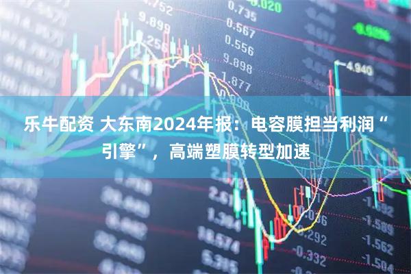 乐牛配资 大东南2024年报：电容膜担当利润“引擎”，高端塑膜转型加速